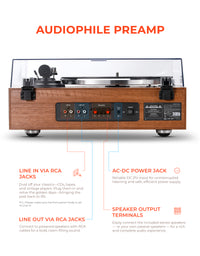 Qlearsoul HiFire X Vinyl Record Player with Stereo Speakers Walnut Rear View Back Ports Audiophile Preamp Line in Via RCA Jacks, Line out Via RCA Jacks, AC-DC Power Jack, Speaker Output Terminals 2000*2560