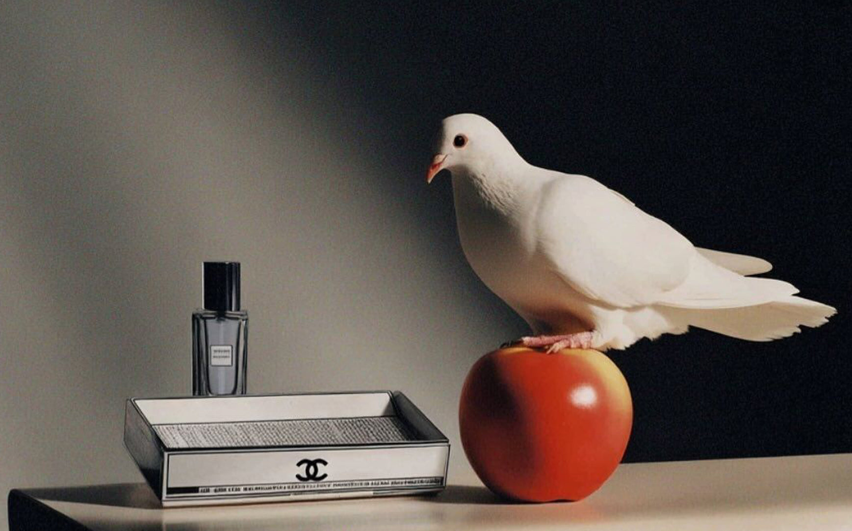 A white dove beside an apple and a carefully composed audio object